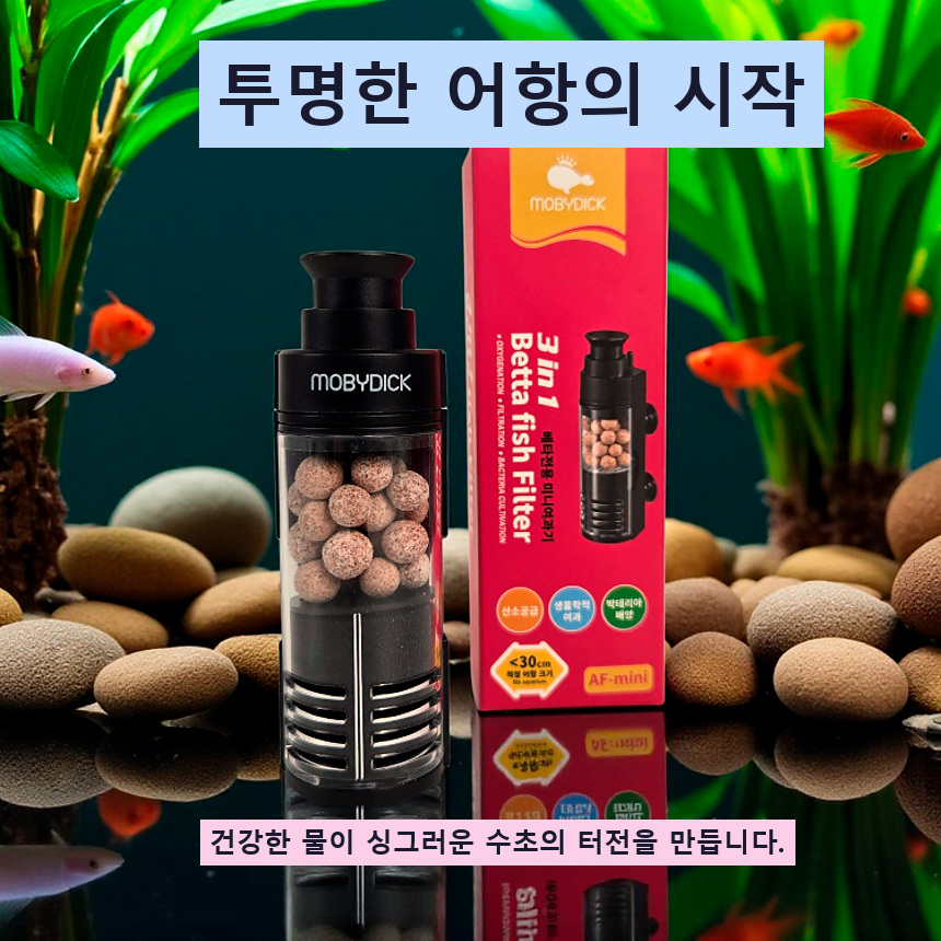 테스트1 — custom