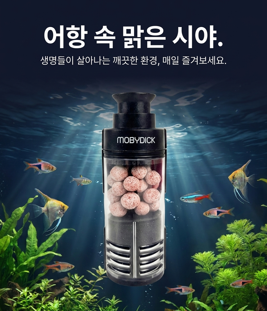 테스트 — custom