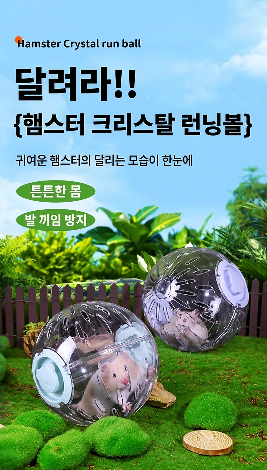 hamster_runningball_01
