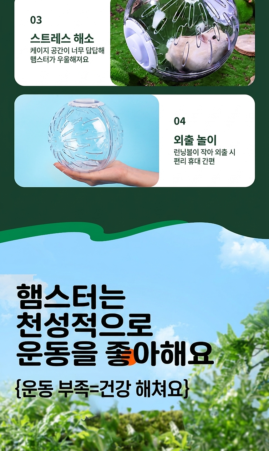 hamster_runningball_03