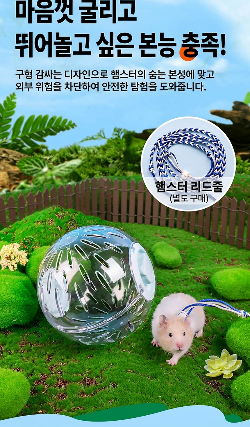 hamster_runningball_06