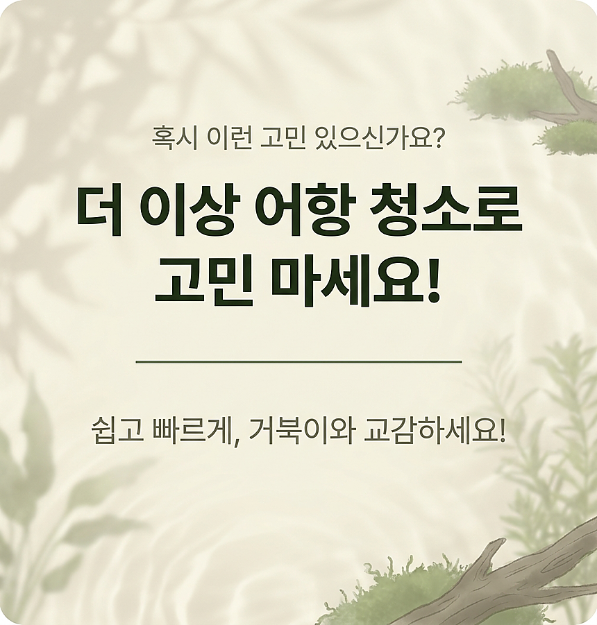 문제제기/훅