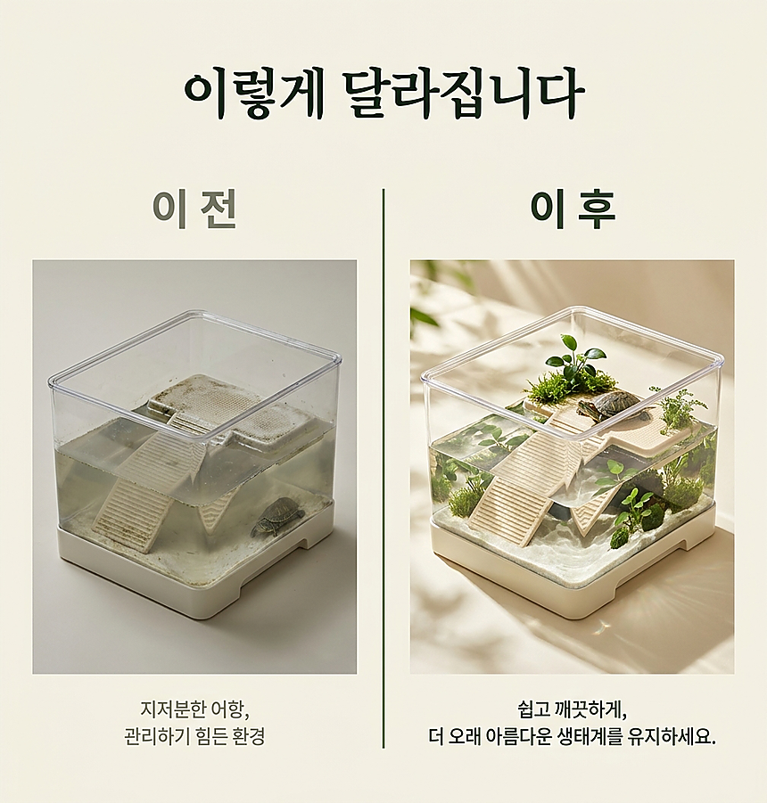 비포-애프터