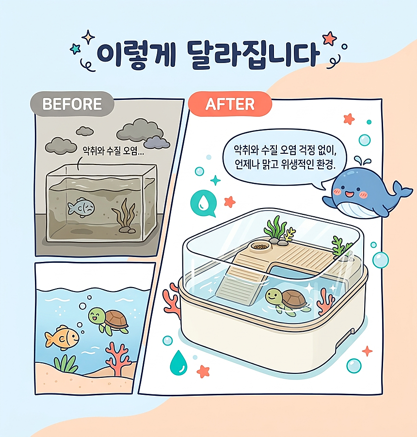 비포-애프터