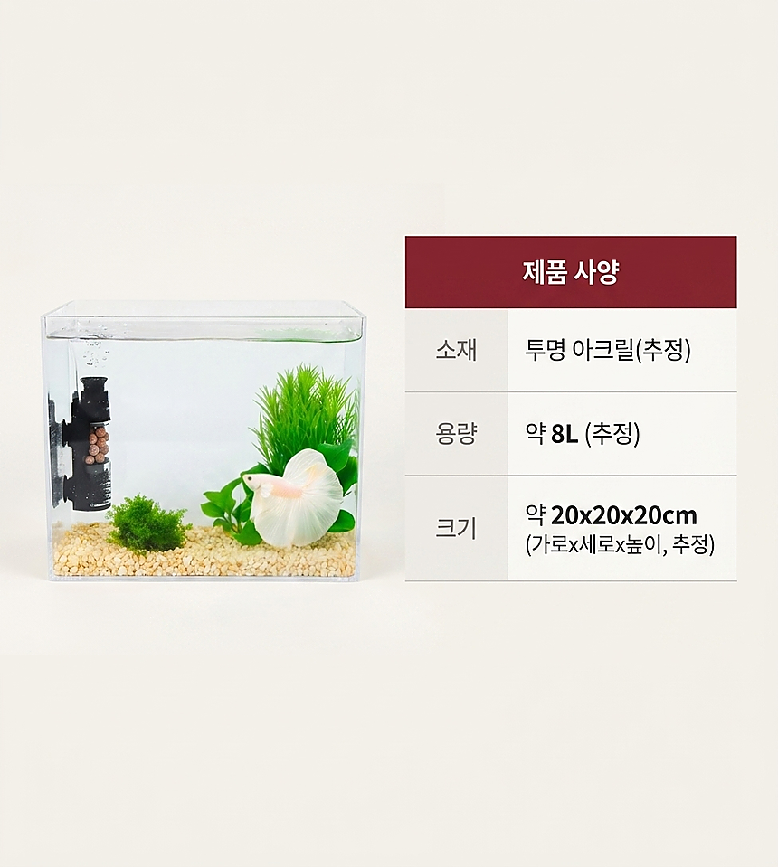 섹션 5