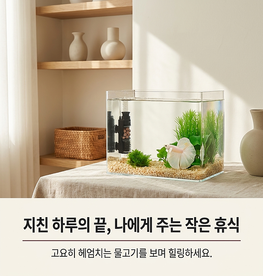 라이프스타일