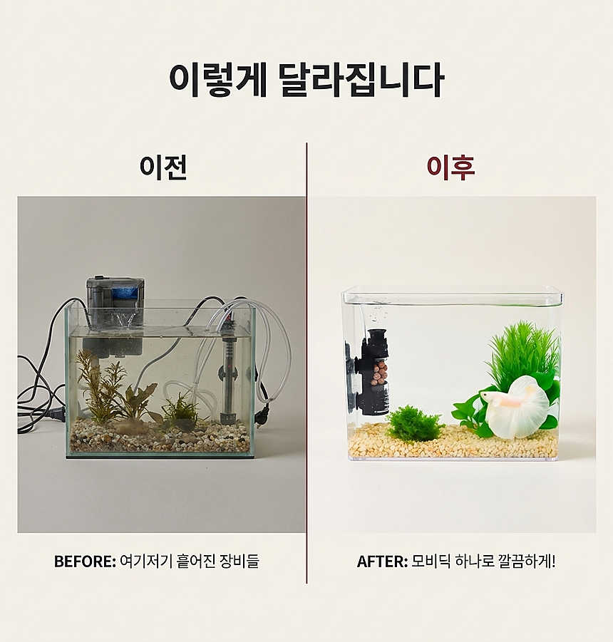 비포-애프터