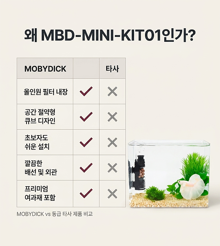 경쟁 비교