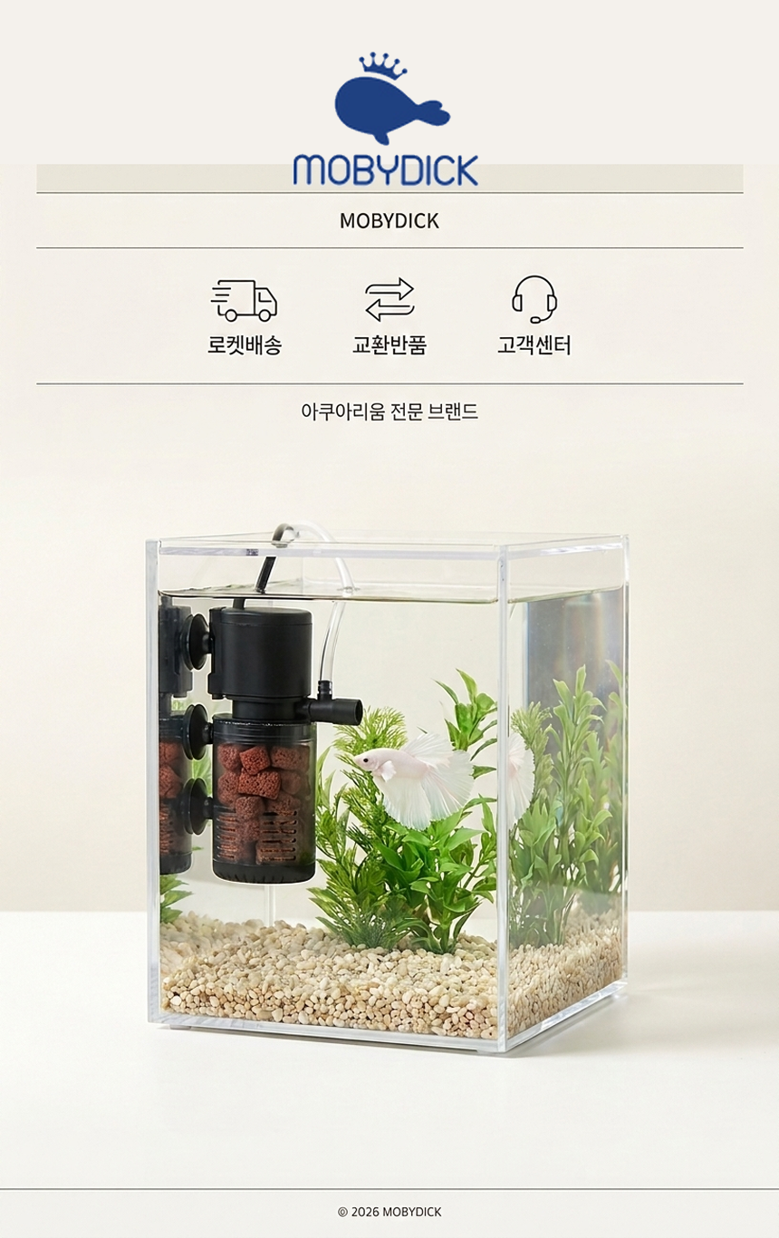 섹션 12
