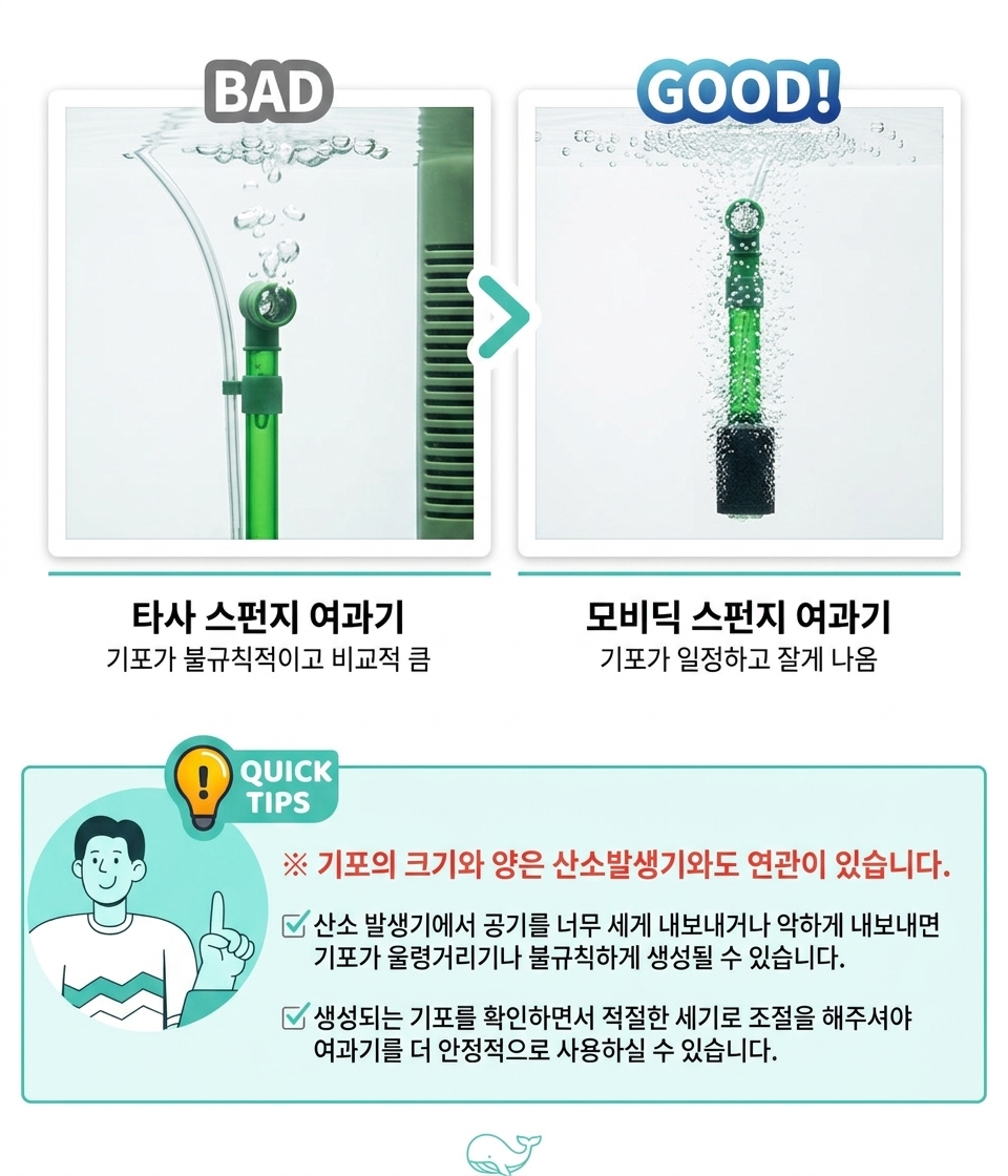 경쟁 비교