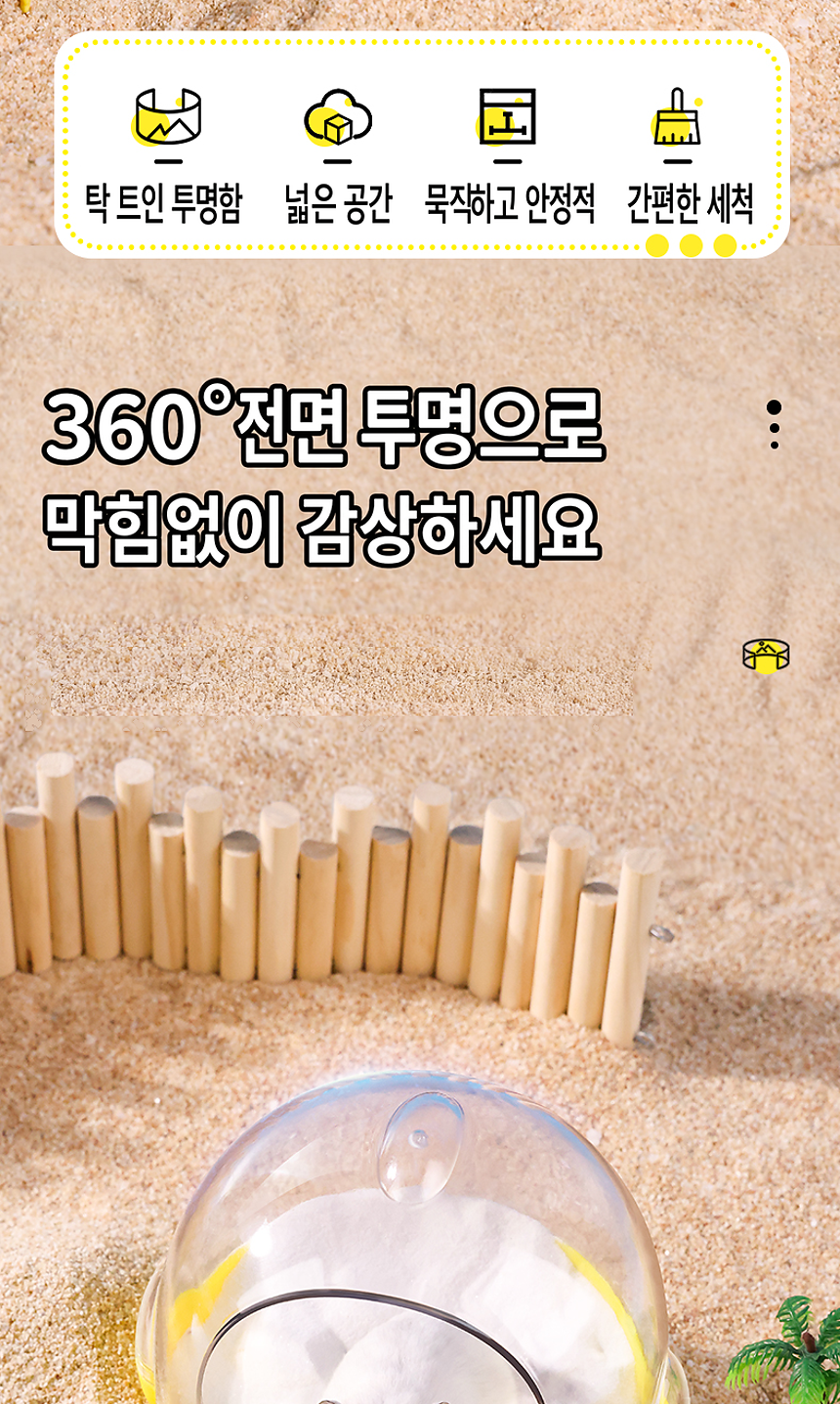 섹션 22
