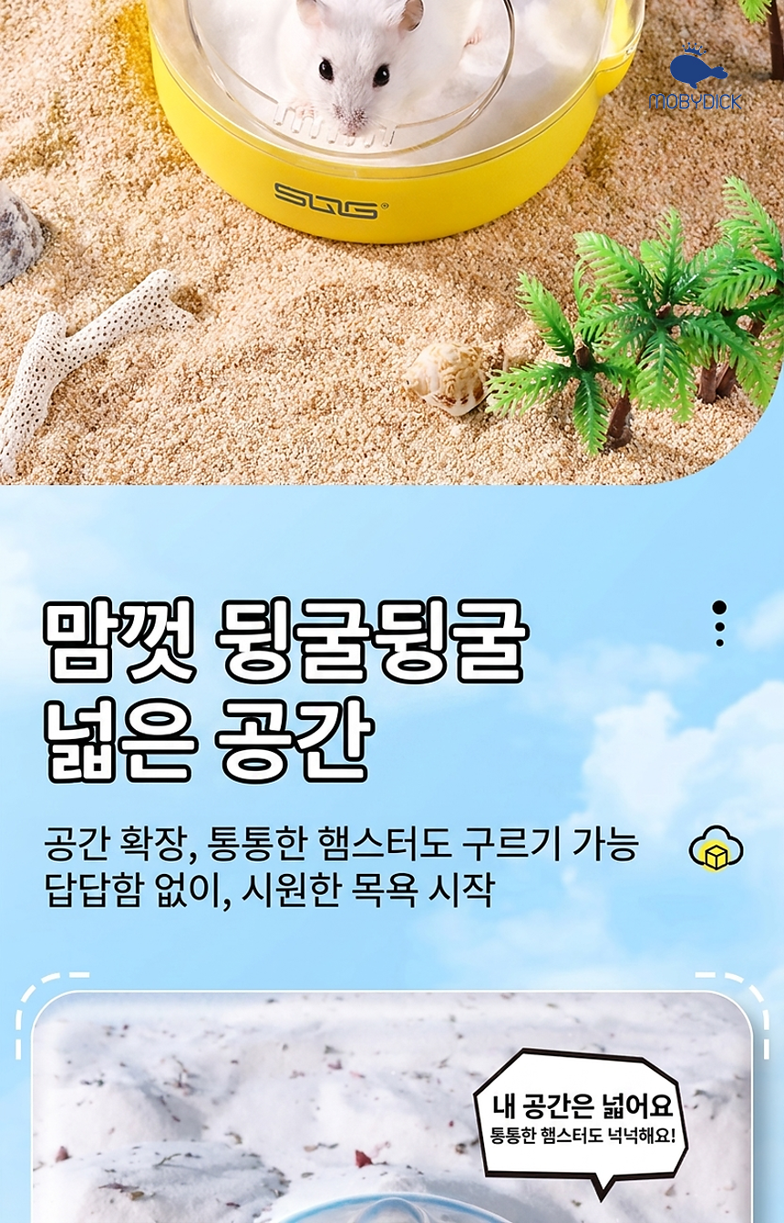 섹션 23