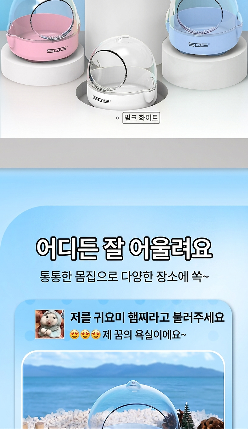 섹션 29