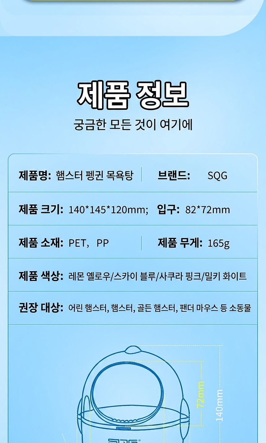 섹션 31