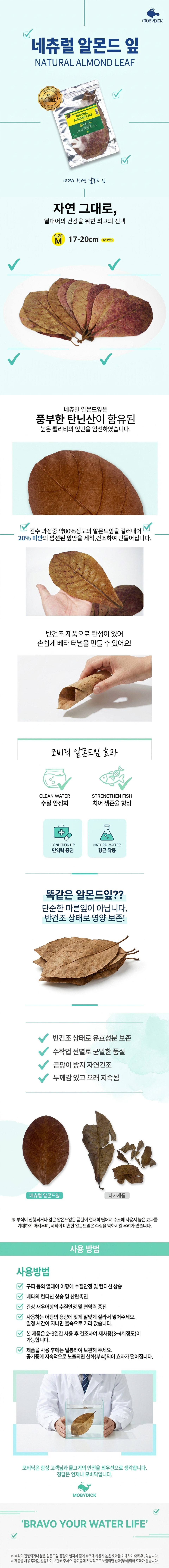 리프레쉬