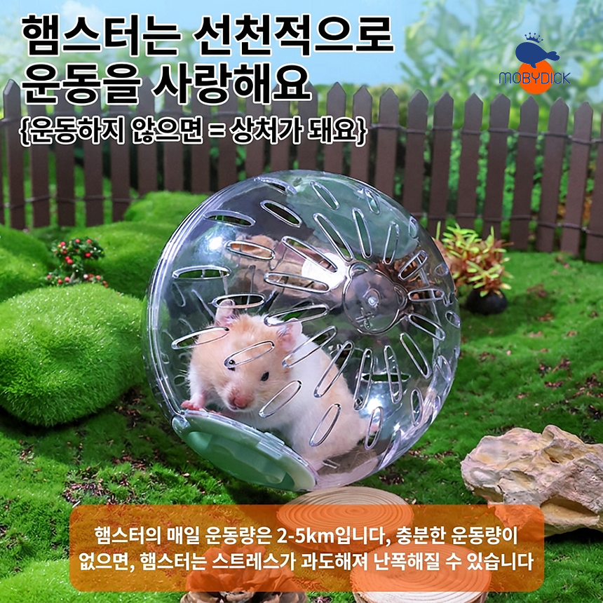 hamster_runningball_sum_02