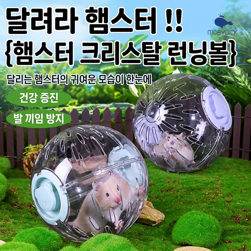 hamster_runningball_sum_03
