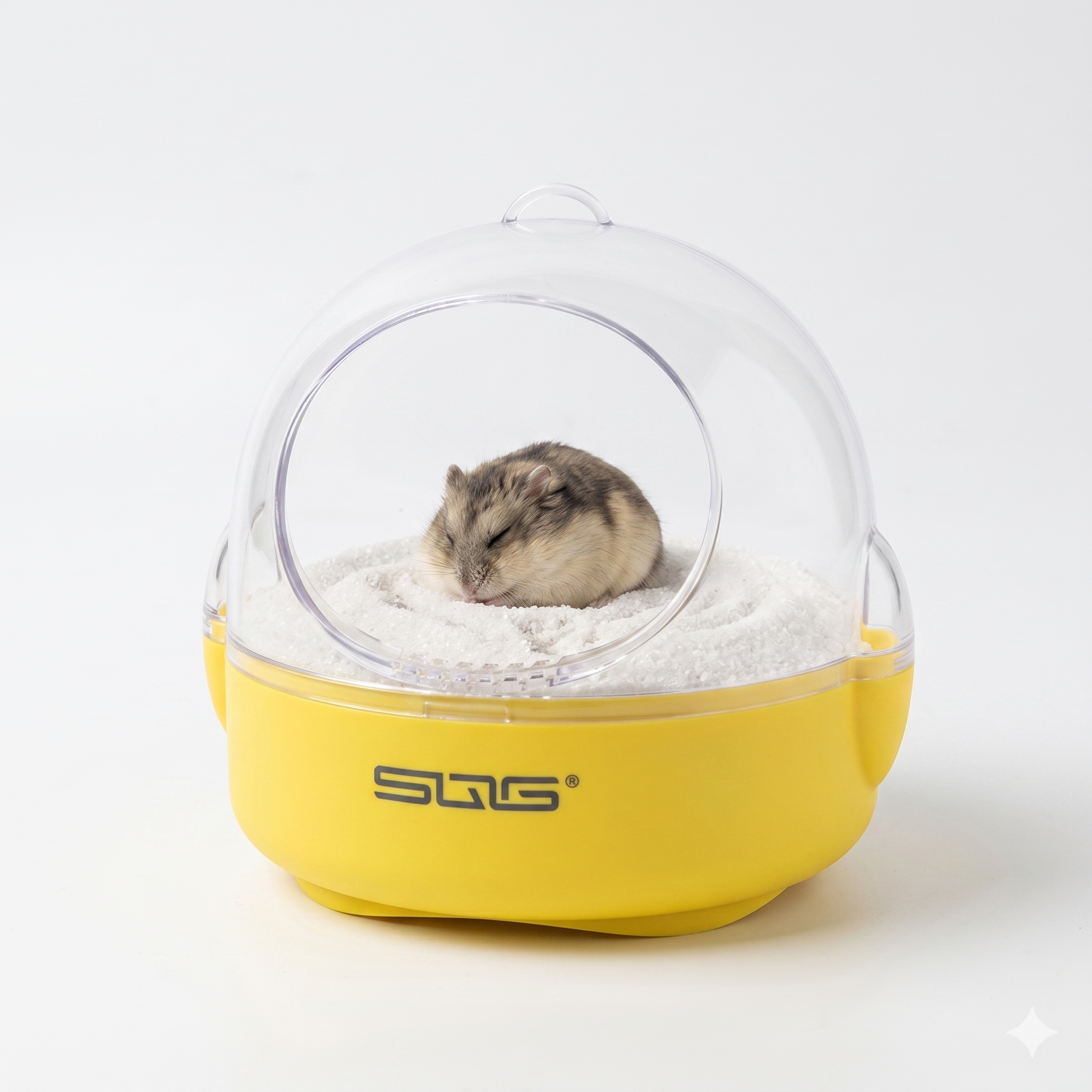 Hamster_Sand_Bath_sum_06
